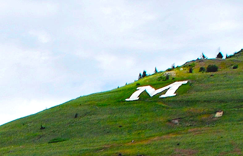 A capital M on a mountain hillside